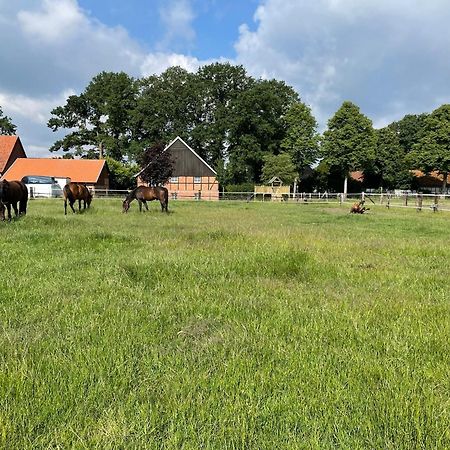 Landhaus Am Esch Варендорф Екстер'єр фото